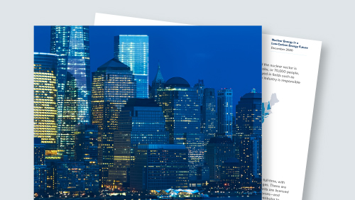 Nuclear Energy in a Low-Carbon Energy Future: Challenges and Opportunities image
