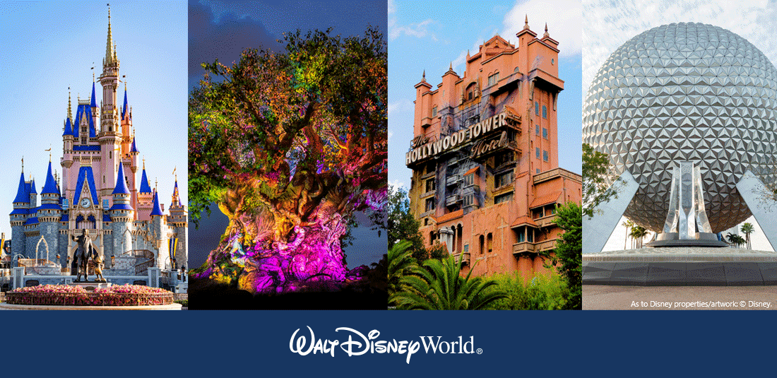 Walt Disney World showing the castle, a large tree, hollywood tower and epcot center
